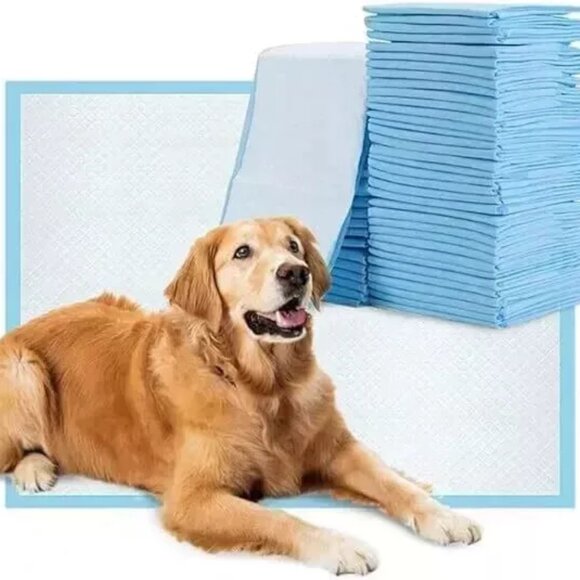 20 Pet Pads for Dogs Ultra-Absorbent Puppy Training Underpad Blue 23in x 35in - Picture 1 of 6